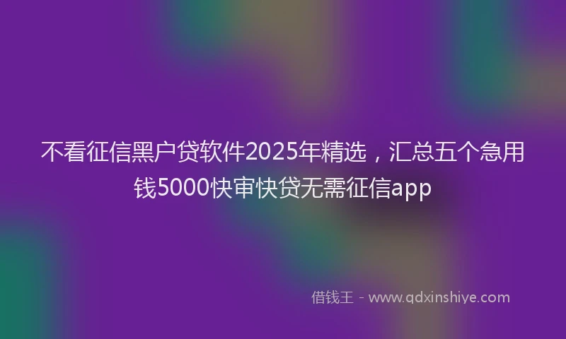 不看征信黑户贷软件2025年精选，汇总五个急用钱5000快审快贷无需征信app