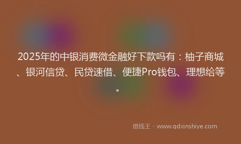 2025年的中银消费微金融好下款吗有：柚子商城、银河信贷、民贷速借、便捷Pro钱包、理想给等。