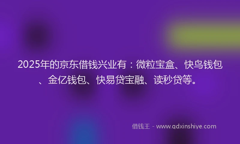 2025年的京东借钱兴业有：微粒宝盒、快鸟钱包、金亿钱包、快易贷宝融、读秒贷等。
