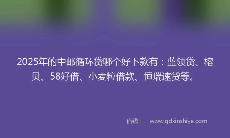 2025年的中邮循环贷哪个好下款有：蓝领贷、榕贝、58好借、小麦粒借款、恒瑞速贷等。