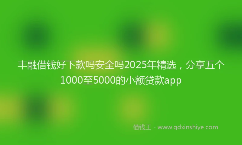 丰融借钱好下款吗安全吗2025年精选，分享五个1000至5000的小额贷款app