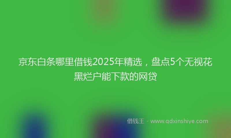 京东白条哪里借钱2025年精选，盘点5个无视花黑烂户能下款的网贷