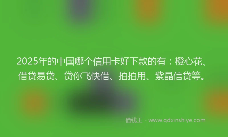 2025年的中国哪个信用卡好下款的有：橙心花、借贷易贷、贷你飞快借、拍拍用、紫晶信贷等。