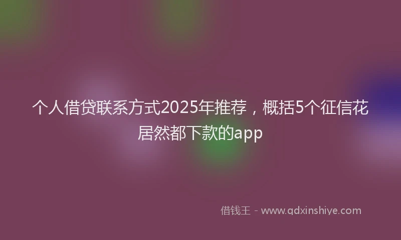 个人借贷联系方式2025年推荐，概括5个征信花居然都下款的app
