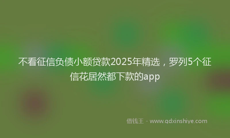 不看征信负债小额贷款2025年精选，罗列5个征信花居然都下款的app