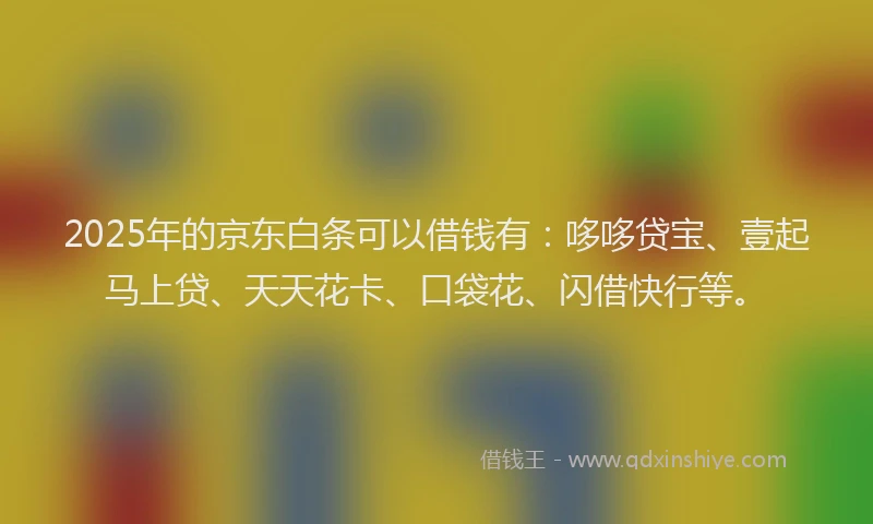 2025年的京东白条可以借钱有：哆哆贷宝、壹起马上贷、天天花卡、口袋花、闪借快行等。