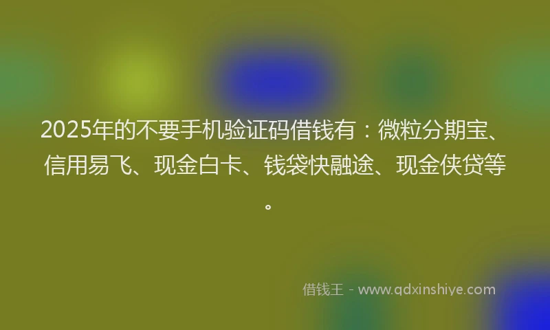 2025年的不要手机验证码借钱有：微粒分期宝、信用易飞、现金白卡、钱袋快融途、现金侠贷等。