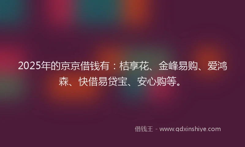 2025年的京京借钱有：桔享花、金峰易购、爱鸿森、快借易贷宝、安心购等。