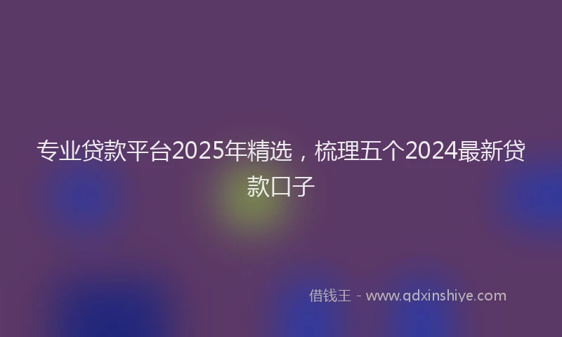专业贷款平台2025年精选，梳理五个2024最新贷款口子