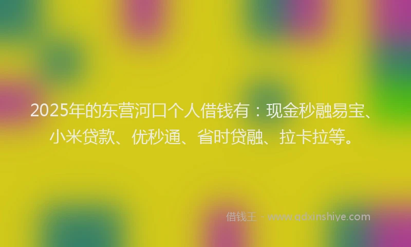 2025年的东营河口个人借钱有：现金秒融易宝、小米贷款、优秒通、省时贷融、拉卡拉等。