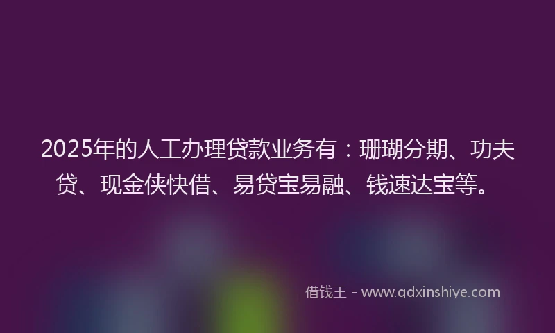 2025年的人工办理贷款业务有：珊瑚分期、功夫贷、现金侠快借、易贷宝易融、钱速达宝等。