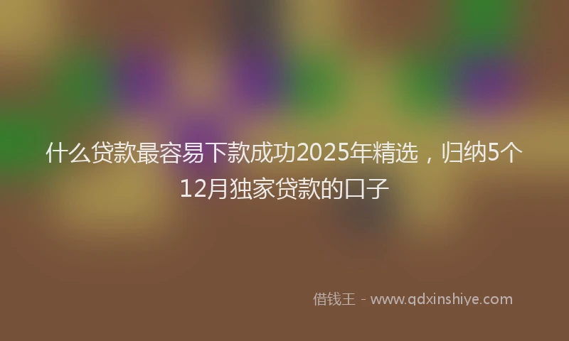 什么贷款最容易下款成功2025年精选，归纳5个12月独家贷款的口子