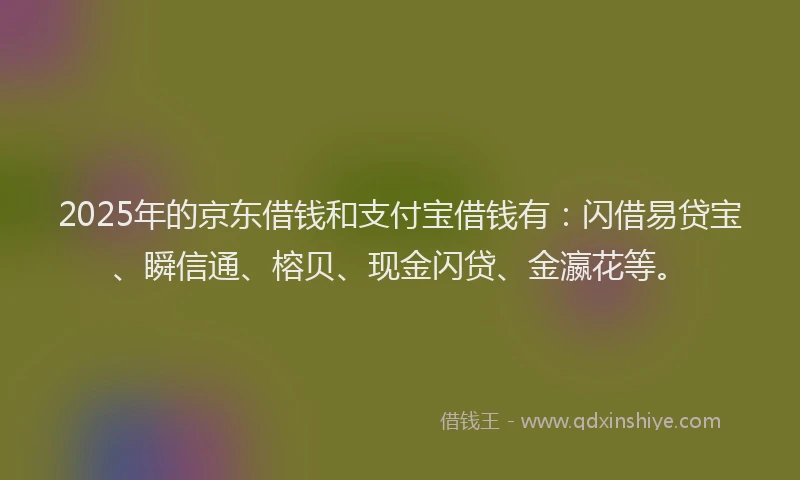 2025年的京东借钱和支付宝借钱有：闪借易贷宝、瞬信通、榕贝、现金闪贷、金瀛花等。