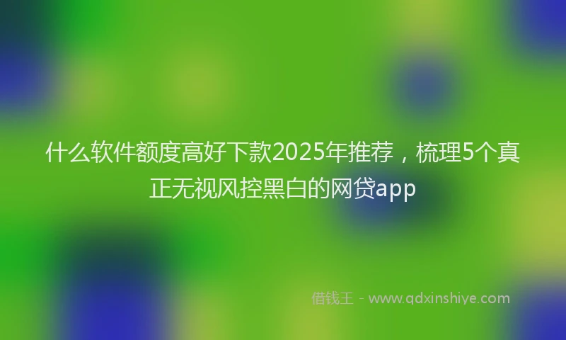 什么软件额度高好下款2025年推荐，梳理5个真正无视风控黑白的网贷app
