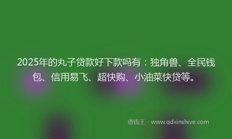 2025年的丸子贷款好下款吗有：独角兽、全民钱包、信用易飞、超快购、小油菜快贷等。