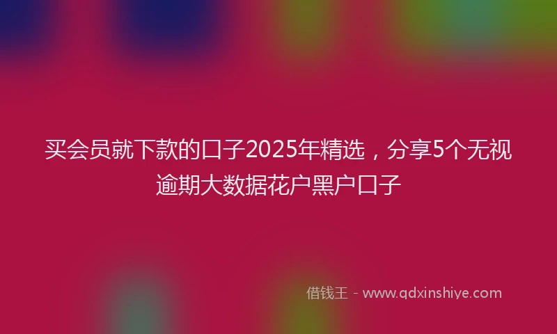 买会员就下款的口子2025年精选，分享5个无视逾期大数据花户黑户口子