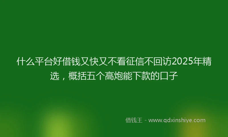 什么平台好借钱又快又不看征信不回访2025年精选，概括五个高炮能下款的口子