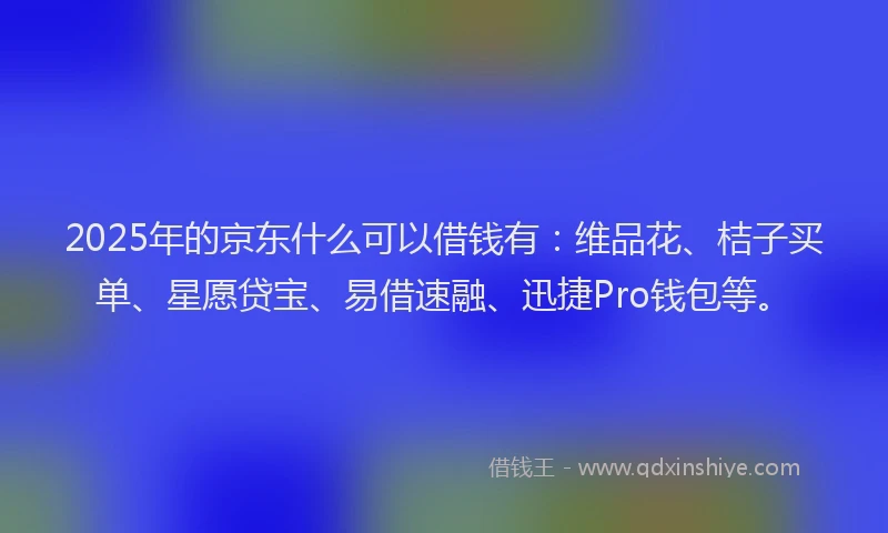 2025年的京东什么可以借钱有：维品花、桔子买单、星愿贷宝、易借速融、迅捷Pro钱包等。