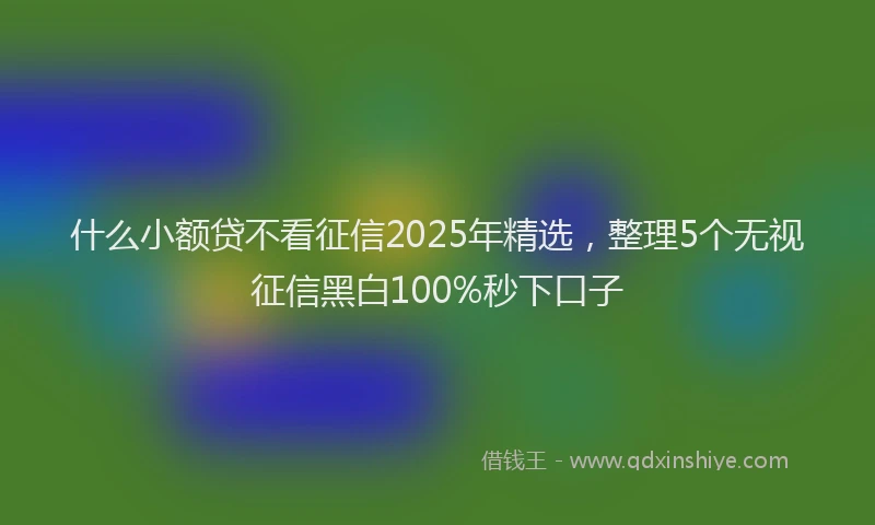 什么小额贷不看征信2025年精选，整理5个无视征信黑白100%秒下口子