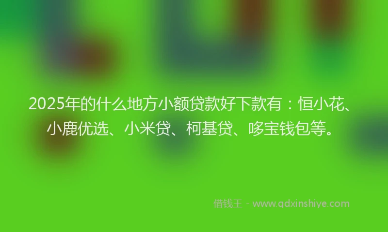 2025年的什么地方小额贷款好下款有：恒小花、小鹿优选、小米贷、柯基贷、哆宝钱包等。