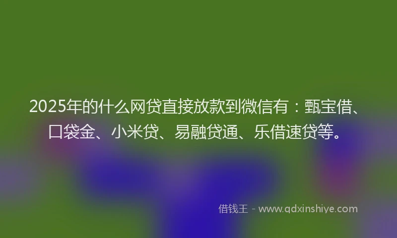 2025年的什么网贷直接放款到微信有：甄宝借、口袋金、小米贷、易融贷通、乐借速贷等。