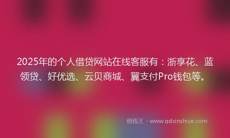 2025年的个人借贷网站在线客服有：浙享花、蓝领贷、好优选、云贝商城、翼支付Pro钱包等。