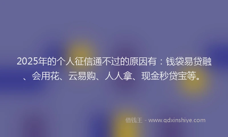 2025年的个人征信通不过的原因有：钱袋易贷融、会用花、云易购、人人拿、现金秒贷宝等。