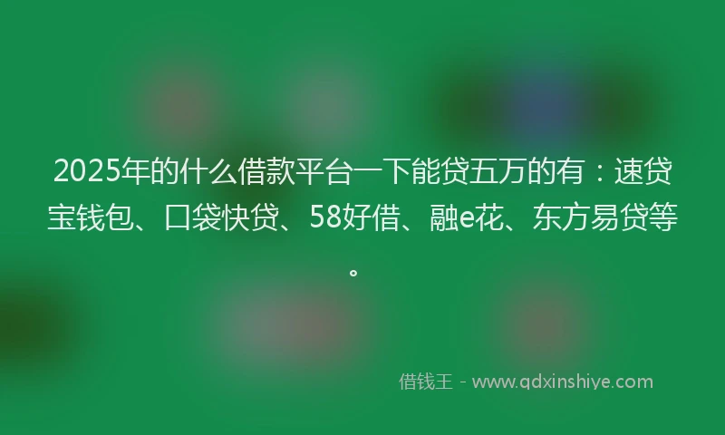 2025年的什么借款平台一下能贷五万的有：速贷宝钱包、口袋快贷、58好借、融e花、东方易贷等。