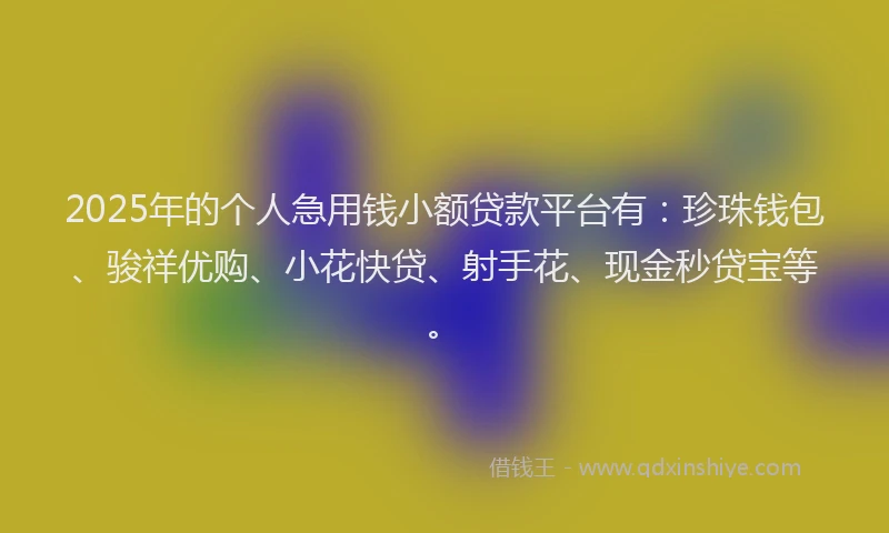 2025年的个人急用钱小额贷款平台有：珍珠钱包、骏祥优购、小花快贷、射手花、现金秒贷宝等。