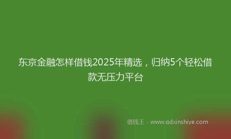 东京金融怎样借钱2025年精选，归纳5个轻松借款无压力平台