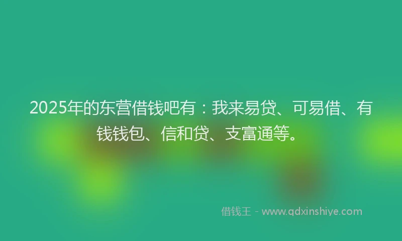 2025年的东营借钱吧有：我来易贷、可易借、有钱钱包、信和贷、支富通等。