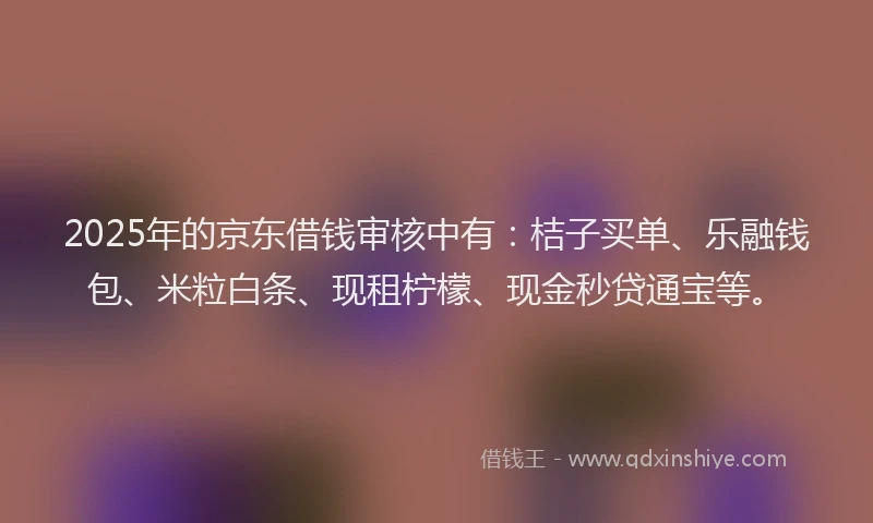 2025年的京东借钱审核中有：桔子买单、乐融钱包、米粒白条、现租柠檬、现金秒贷通宝等。