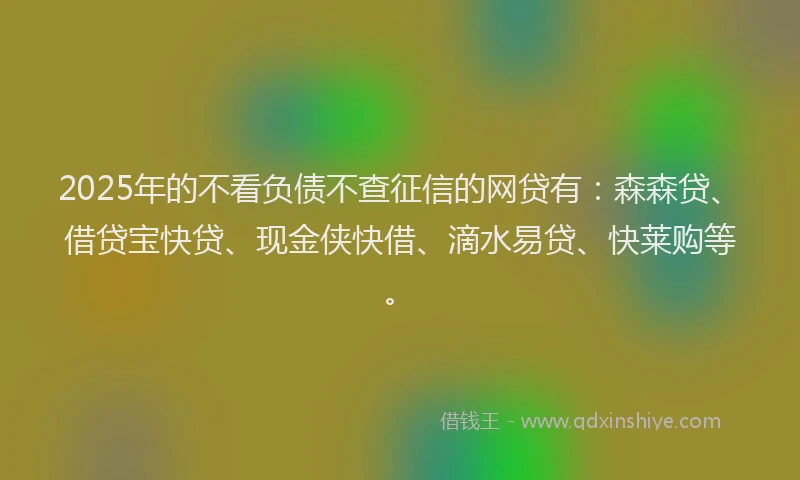 2025年的不看负债不查征信的网贷有：森森贷、借贷宝快贷、现金侠快借、滴水易贷、快莱购等。