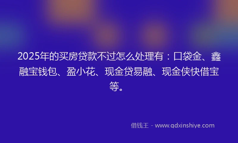 2025年的买房贷款不过怎么处理有：口袋金、鑫融宝钱包、盈小花、现金贷易融、现金侠快借宝等。