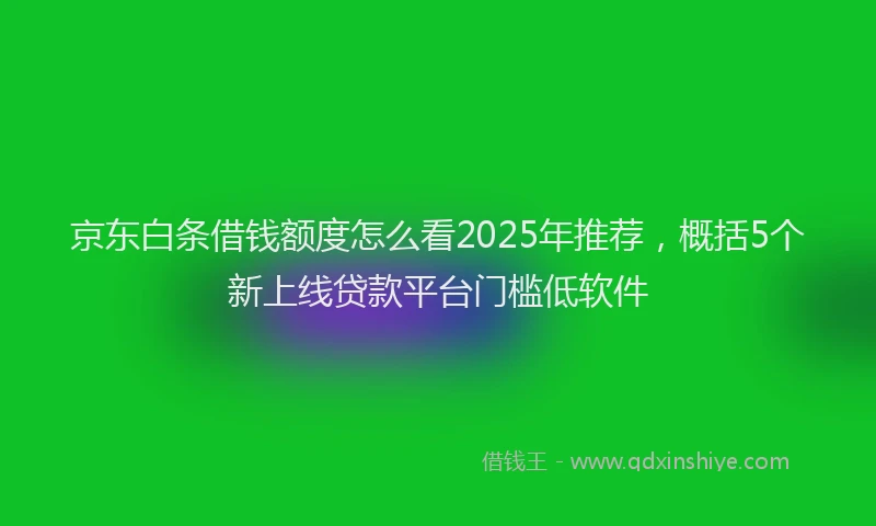 京东白条借钱额度怎么看2025年推荐，概括5个新上线贷款平台门槛低软件