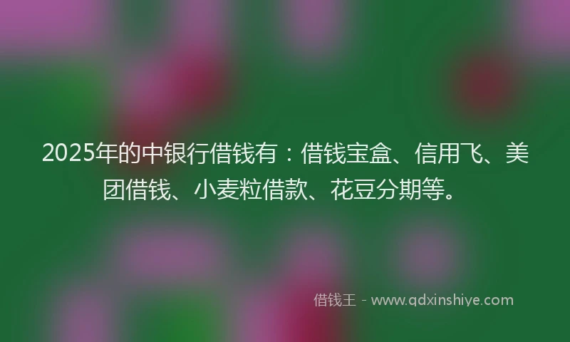 2025年的中银行借钱有：借钱宝盒、信用飞、美团借钱、小麦粒借款、花豆分期等。