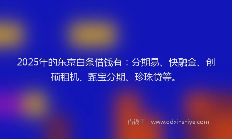 2025年的东京白条借钱有：分期易、快融金、创硕租机、甄宝分期、珍珠贷等。