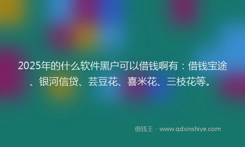 2025年的什么软件黑户可以借钱啊有：借钱宝途、银河信贷、芸豆花、喜米花、三枝花等。