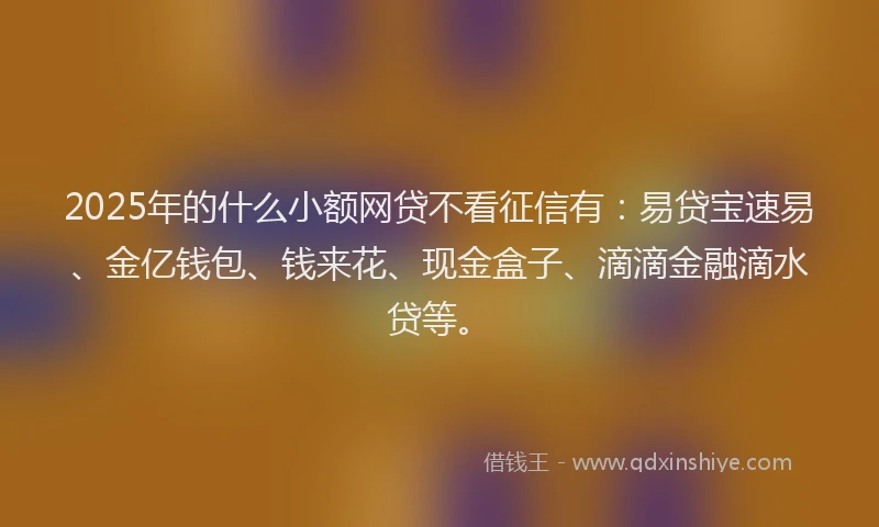 2025年的什么小额网贷不看征信有：易贷宝速易、金亿钱包、钱来花、现金盒子、滴滴金融滴水贷等。