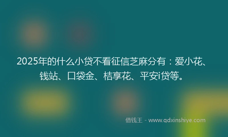 2025年的什么小贷不看征信芝麻分有：爱小花、钱站、口袋金、桔享花、平安i贷等。