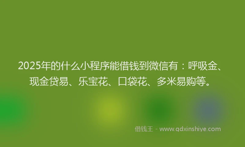2025年的什么小程序能借钱到微信有：呼吸金、现金贷易、乐宝花、口袋花、多米易购等。