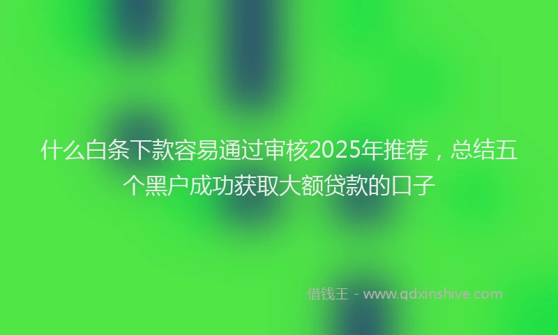 什么白条下款容易通过审核2025年推荐，总结五个黑户成功获取大额贷款的口子