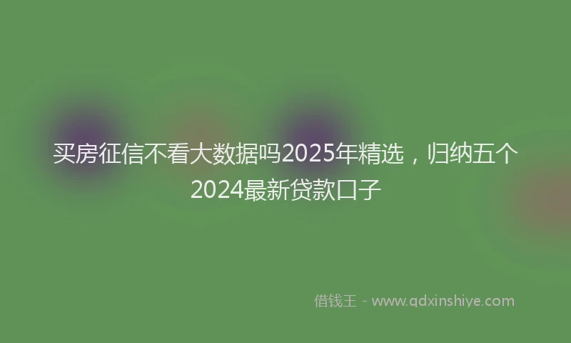 买房征信不看大数据吗2025年精选，归纳五个2024最新贷款口子