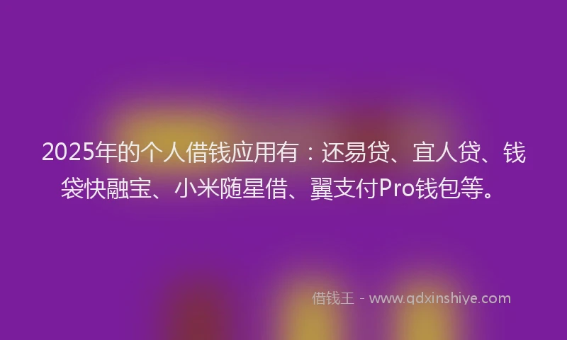 2025年的个人借钱应用有：还易贷、宜人贷、钱袋快融宝、小米随星借、翼支付Pro钱包等。