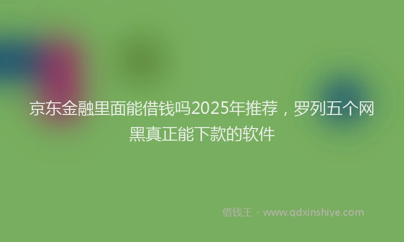 京东金融里面能借钱吗2025年推荐，罗列五个网黑真正能下款的软件