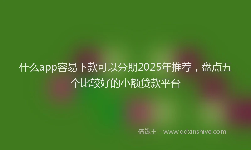 什么app容易下款可以分期2025年推荐，盘点五个比较好的小额贷款平台