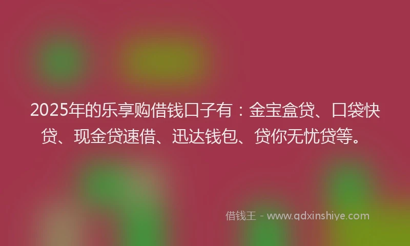 2025年的乐享购借钱口子有：金宝盒贷、口袋快贷、现金贷速借、迅达钱包、贷你无忧贷等。