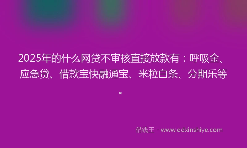 2025年的什么网贷不审核直接放款有：呼吸金、应急贷、借款宝快融通宝、米粒白条、分期乐等。