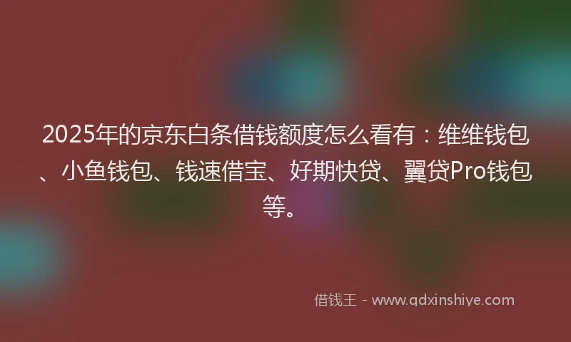 2025年的京东白条借钱额度怎么看有：维维钱包、小鱼钱包、钱速借宝、好期快贷、翼贷Pro钱包等。