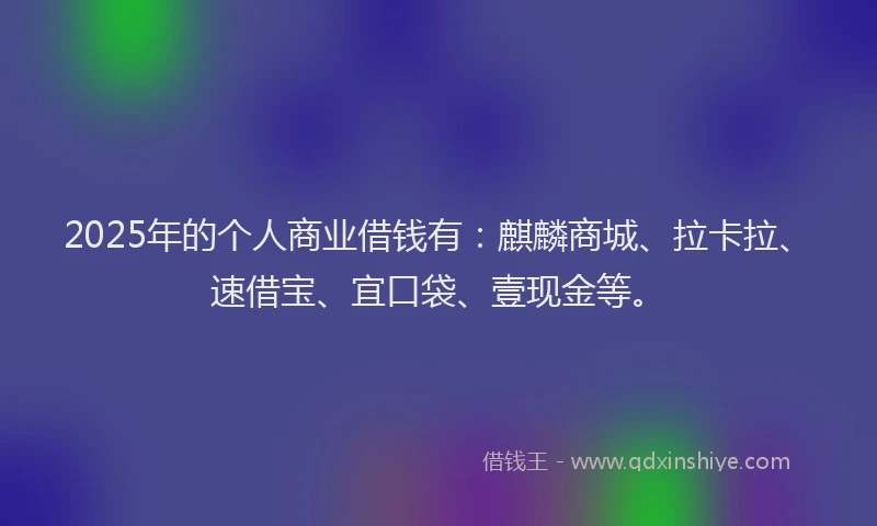 2025年的个人商业借钱有：麒麟商城、拉卡拉、速借宝、宜口袋、壹现金等。